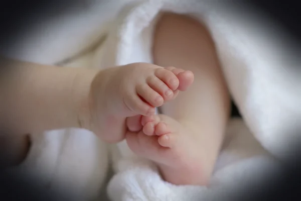 baby, child, grandchild, feet, baby feet, infant, children's feet, toes, cute, baby, baby, baby, baby, baby