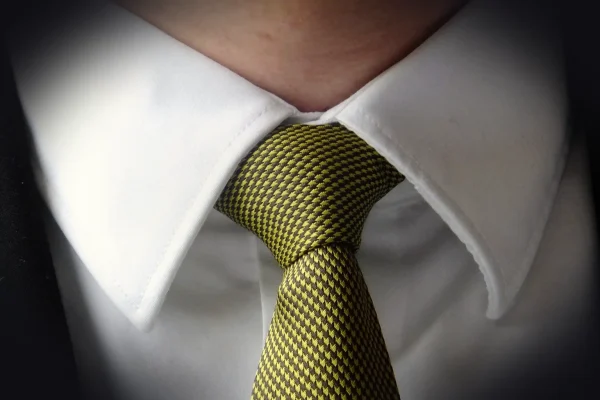 necktie, green, festive, man, neck, necktie, necktie, necktie, necktie, necktie