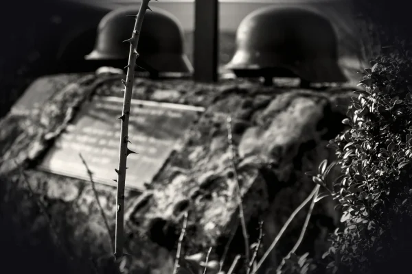 nature, people, war, armed forces, helmet, quiet, suffering, human, retirement, conflict, second world war, ww2, enmity,