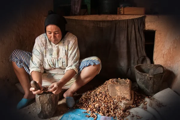woman, ethnic, work, business, home, argan, oil, cosmetics, morocco, argan, argan, argan, argan, argan