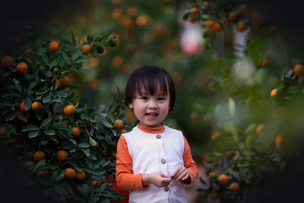 kid, picking oranges, outdoors, orchard, little girl, portrait, childhood, child, nature