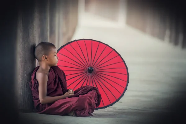 boy, monk, umbrella, child, kid, sitting, rest, relax, little, young, praying, worship, tradition, buddhist, buddhism, m