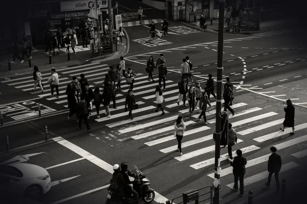 traffic light, crosswalk, people, intersection, noryangjin, set, student, crossing, busyness, daily life, gray-scale, st