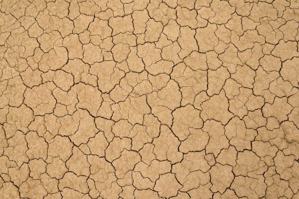 Dehydrated isnt dry