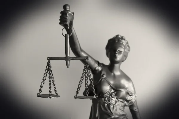legal, right, justice, law of nature, themis, goddess, laws, just, symbol, silver, attorney, balance, woman, legal, lega