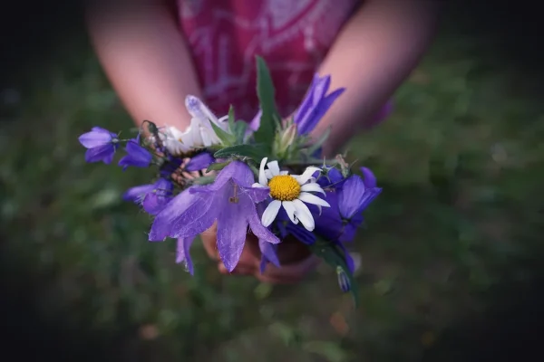 flower, strauss, purple, hands, child, give, gift, women's day, fixed, celebration, femininity, garment, international,