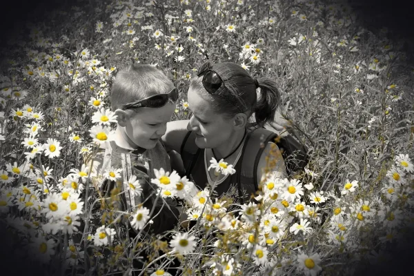 mother, hd wallpaper, floral background, son, wallpaper 4k, wife, free wallpaper, child, beautiful wallpaper, kid, windo