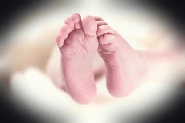 baby, feet, toes, sole, small, newborn, child, small feet, newborn baby, newborn child, baby feet, baby, baby, baby, bab