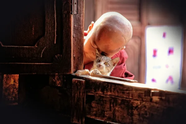 kids, child, myanmar, monastery, buddhism, the tradition of, monk, children, boy, young, ritual, prayer, bagan, culture,