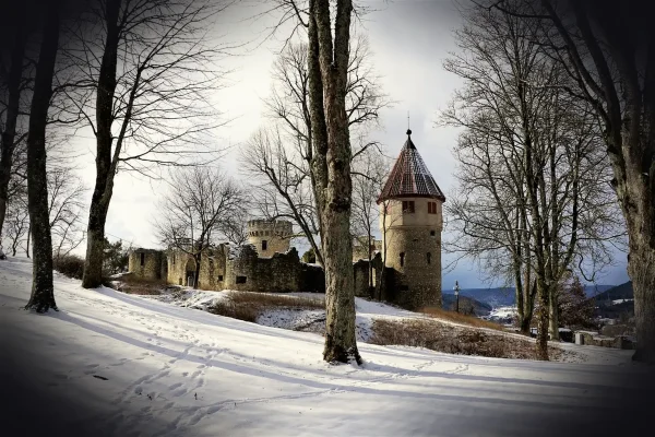 winter, snow, cold, tree, season, frost, landscape, weather, nature, park, ice cream, travel, castle, fall, tuttlingen,