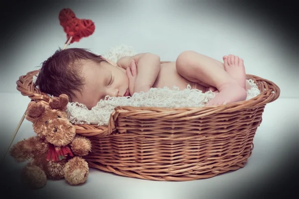 newbourne, basket, toy, baby, kids, kid, time, small child, family, beautiful, moose, new year, love, a heart, basket, t