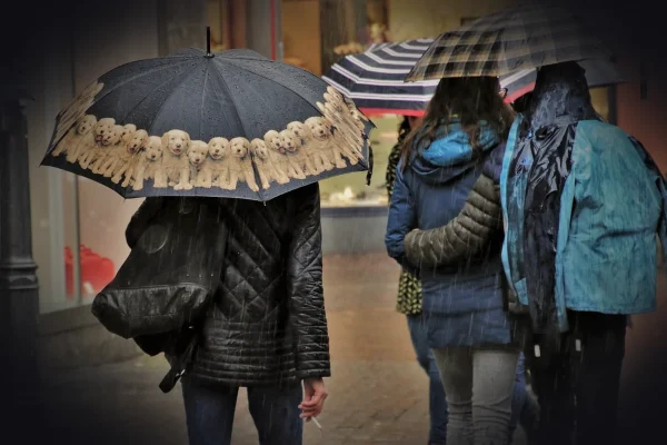 umbrella, rain, wet, street, city, rainy day, water, nature, the person, man, people, umbrellas, in the rain, stain, dro