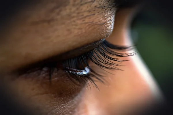 eyelashes, eye, human, vision, face, woman, closeup, macro