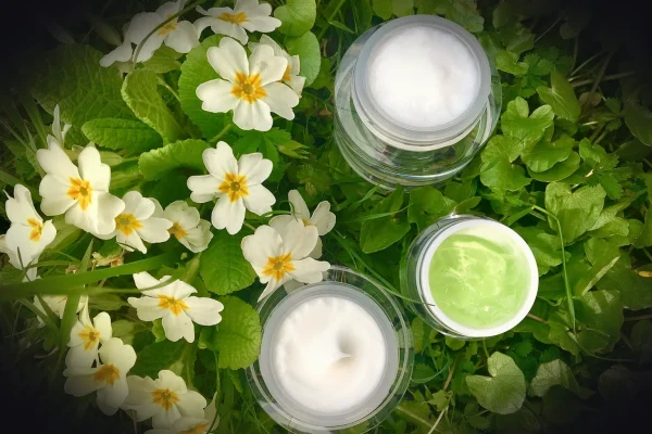 plant, flower, leaf, nature, fresh, cosmetics, industry, crucible, packaging, glass, mask, cream, fluid, gel, serum, tex