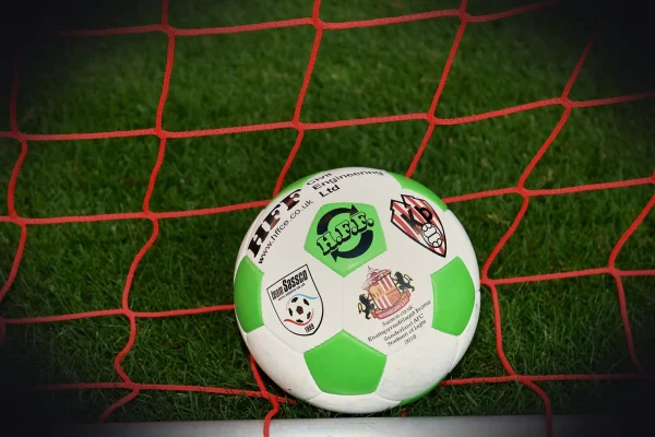 soccer, football, sunderland, stadium of light, kick, ball, stadium, sport, sports, game, field, play, people, competiti