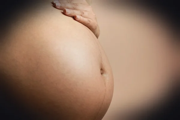 pregnant, gestation, pregnant pictures, pregnancy, pregnant woman, stomach, big belly, pregnant essay, woman, mommy, pre