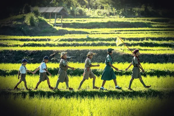 boy, scout, scouting, asia, the same, thailand, swear word, teenager, outdoor, tartan, green, hat, man, discovery, pledg