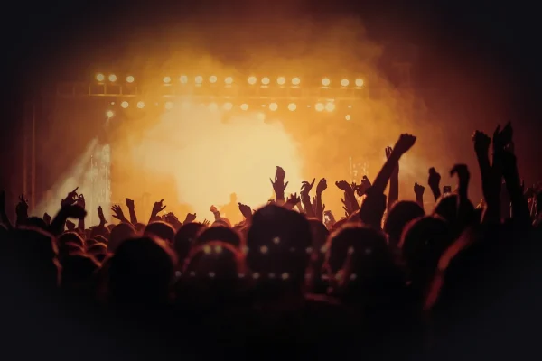 concert, live, audience, people, crowd, party, light effects, event, stage, many, crowded, concert, concert, concert, co