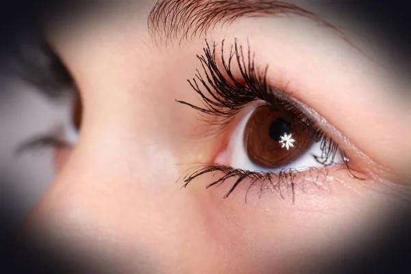woman, beauty, eyelashes, eye, makeup, mascara, beautiful, female, girl, closeup, eye, eye, eye, eye, eye