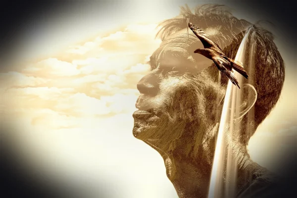 photomontage, man, think, dreams, in a different world, in thoughts, waterfall, landscape, eagle, clouds, nature, sun, f
