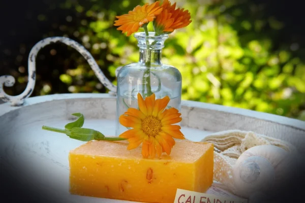 soap, calendula, marigold, flower, flower background, health, decoration, beauty, wellness, naturopathy, nature, aromath