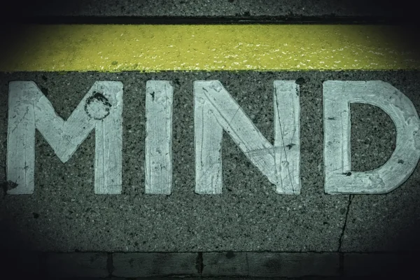 yellow and black pedestrian line