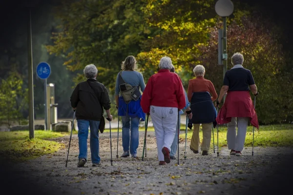nordic walking, stroller, walk, together, people, leisure time, nordic walking, nordic walking, nordic walking, nordic w