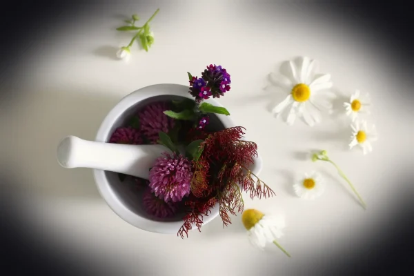 medicinal flower, remedies, ointment, cream, spa, flower background, wellness, maintenance, beauty, cosmetics, beautiful