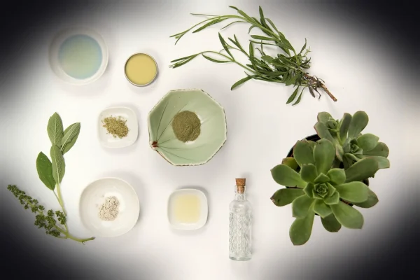 cosmetic, skincare, female, natural, treatment, healthy, woman, spa, cream, moisturizer, cosmetic, skincare, skincare, s
