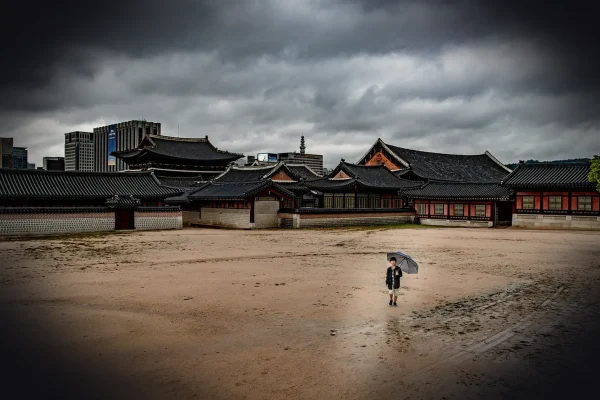 temple, shrine, nature, boy, courtyard, rain, umbrella, korea
