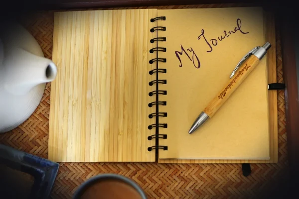 writing, journal, personal diary, brown writing, journal, journal, journal, journal, journal