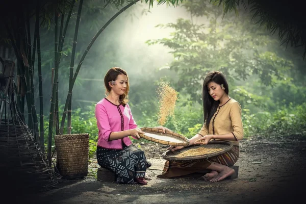rice, women, sitting, harvest, sow, sieve, adult, asia, labor, work, beauty, people, clean, countryside, dry, food, girl
