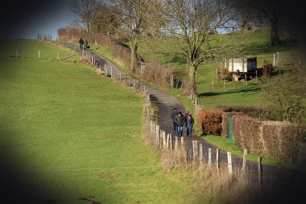 walk, sunshine, people, landscape, path, dirt road, relaxation, sunday walk, sunday, weekend, leisure time, vacations, n