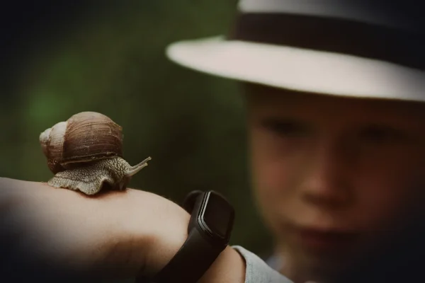 snail, boy, hand, snail, snail, snail, snail, snail