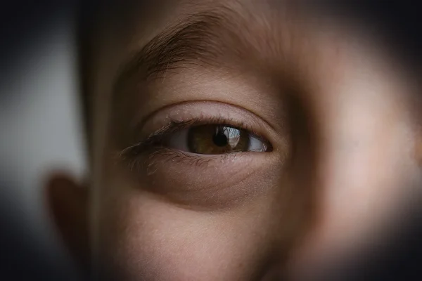 boy, brown eyes, eyes, face, male, child, kid, close up, brown eyes, brown eyes, brown eyes, brown eyes, brown eyes, eye