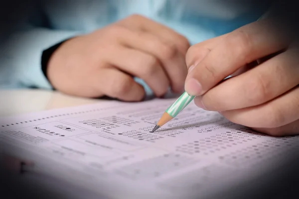 man, men, hand, person, people, male, portrait, human, adult, business, young, fill, sheet, paper, pencil, work, office,