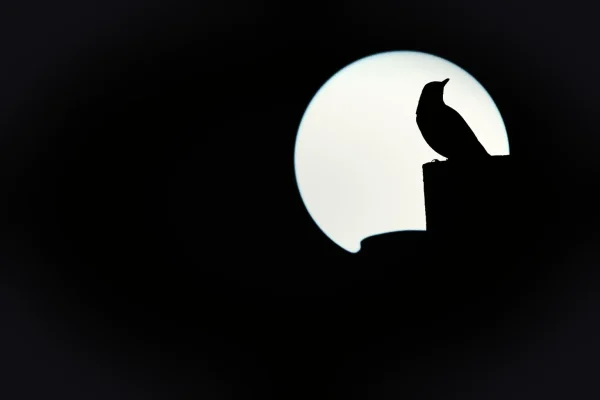 some people don't, satellite, astronomy, people, new, shadow