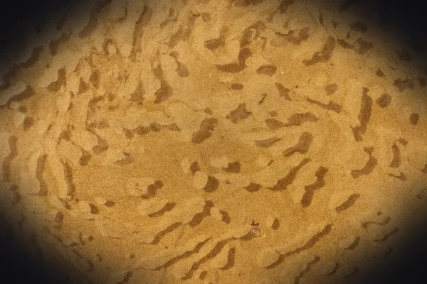 brown sand with shadow of person