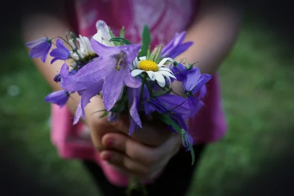 flower, strauss, purple, hands, child, give, happy mothers day, gift, small, bluebells, give a gift, white, dear, sweet,