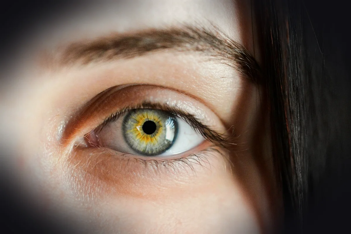 eye, iris, macro, natural, girl, eyebrows, detailed, green, brown, view, sight, human, face, vision, focus, eye, eye, eye, ey