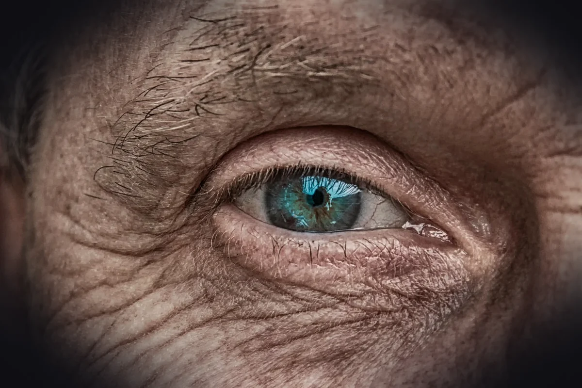 skin, eye, iris, blue, older, folds, wrinkled skin, man, face, portrait, human, old, green, eyebrow, lid, people, character, 