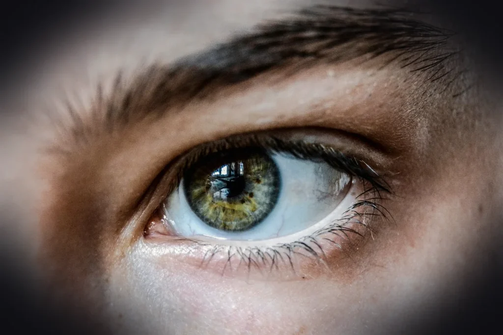 eye, green, eyelashes, eyebrow, eyelid, vision, focus, retina, iris, pupil, human eye, green eye, close up, human, face, girl