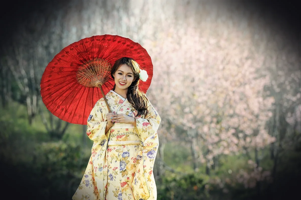 geisha, kimono, umbrella, parasol, portrait, asian, asian woman, dress, traditional dress, asia, culture, exotic, fashion, ja