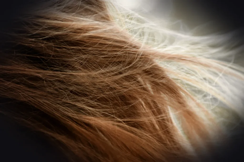 brown hair on white textile
