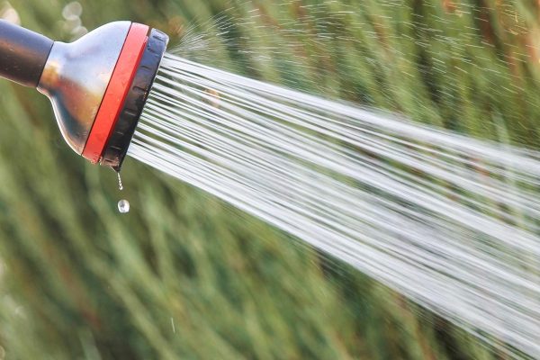 Hot water shower destroys lipid barrier